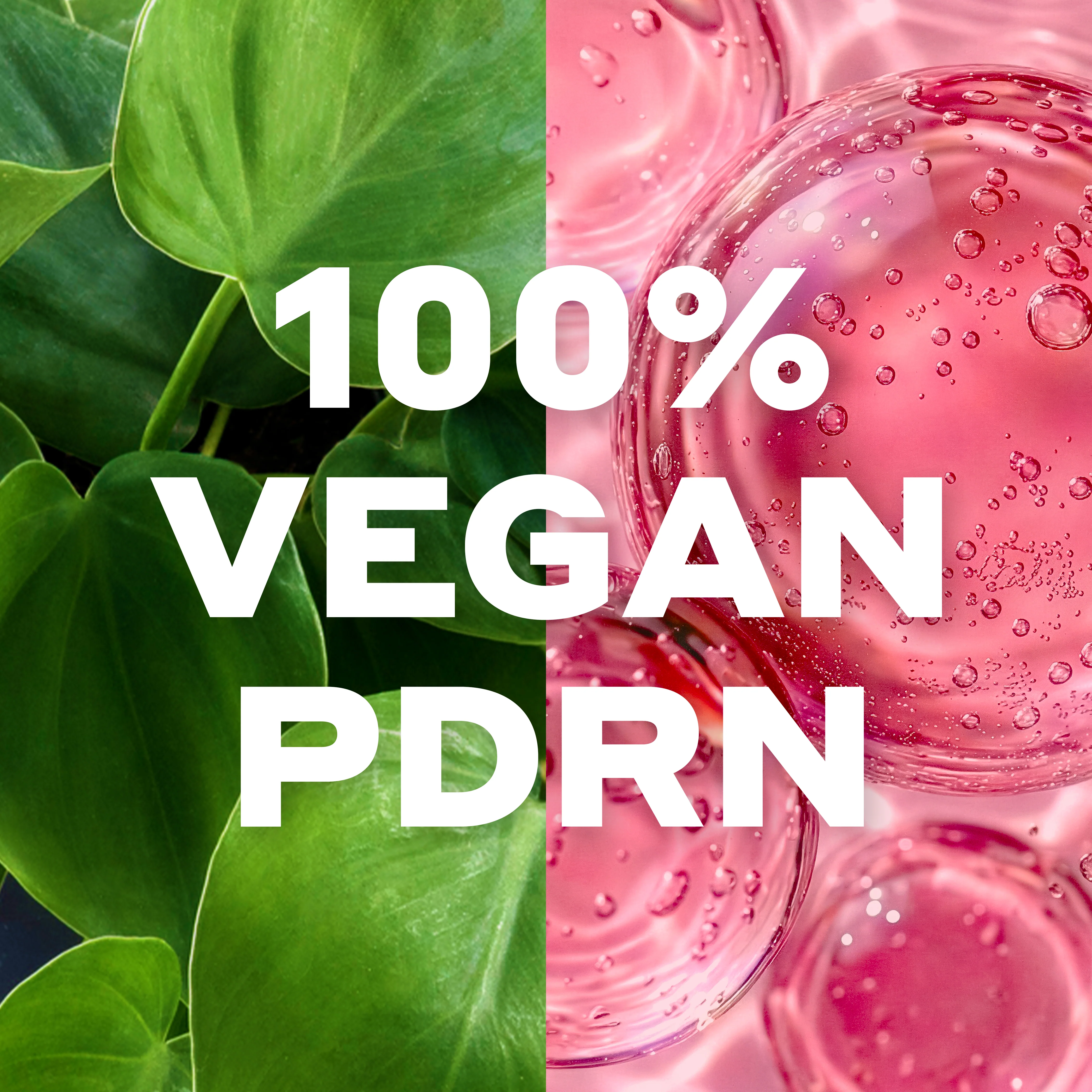 Advanced Peptide PDRN Jelly Cream - Image 3