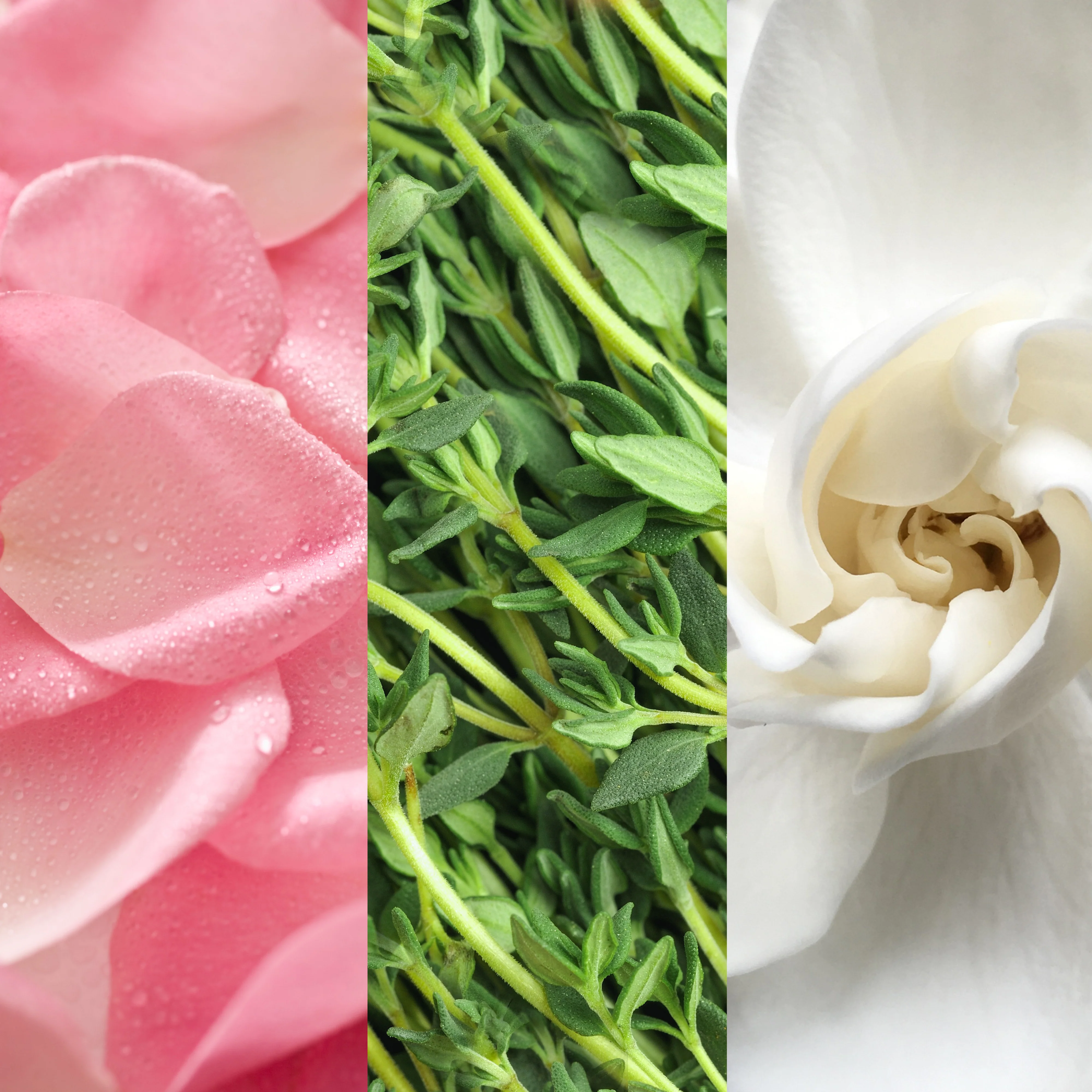 Facial Spray With Aloe, Herbs And Rosewater - Image 4