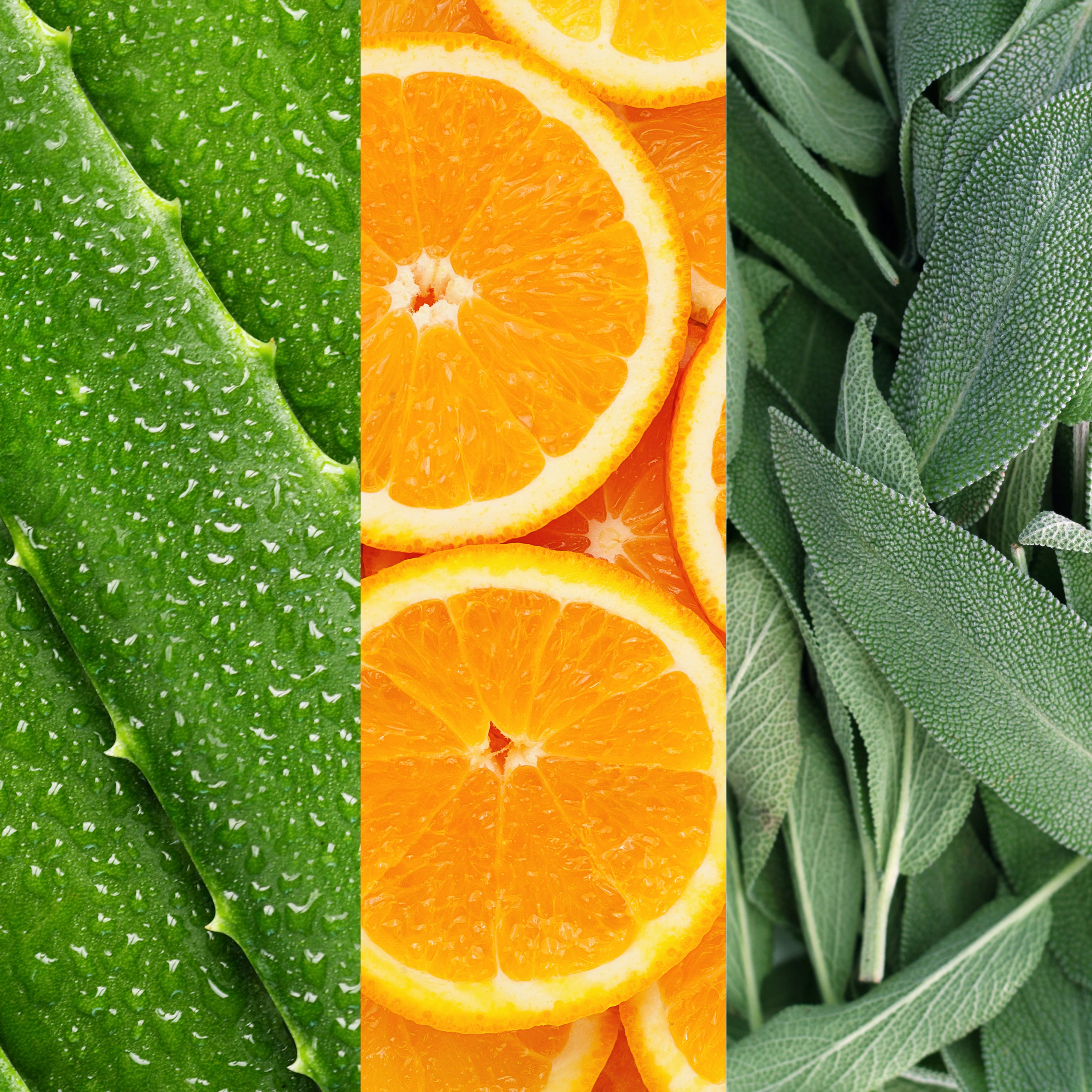 Facial Spray With Aloe, Sage And Orange Blossom - Image 4