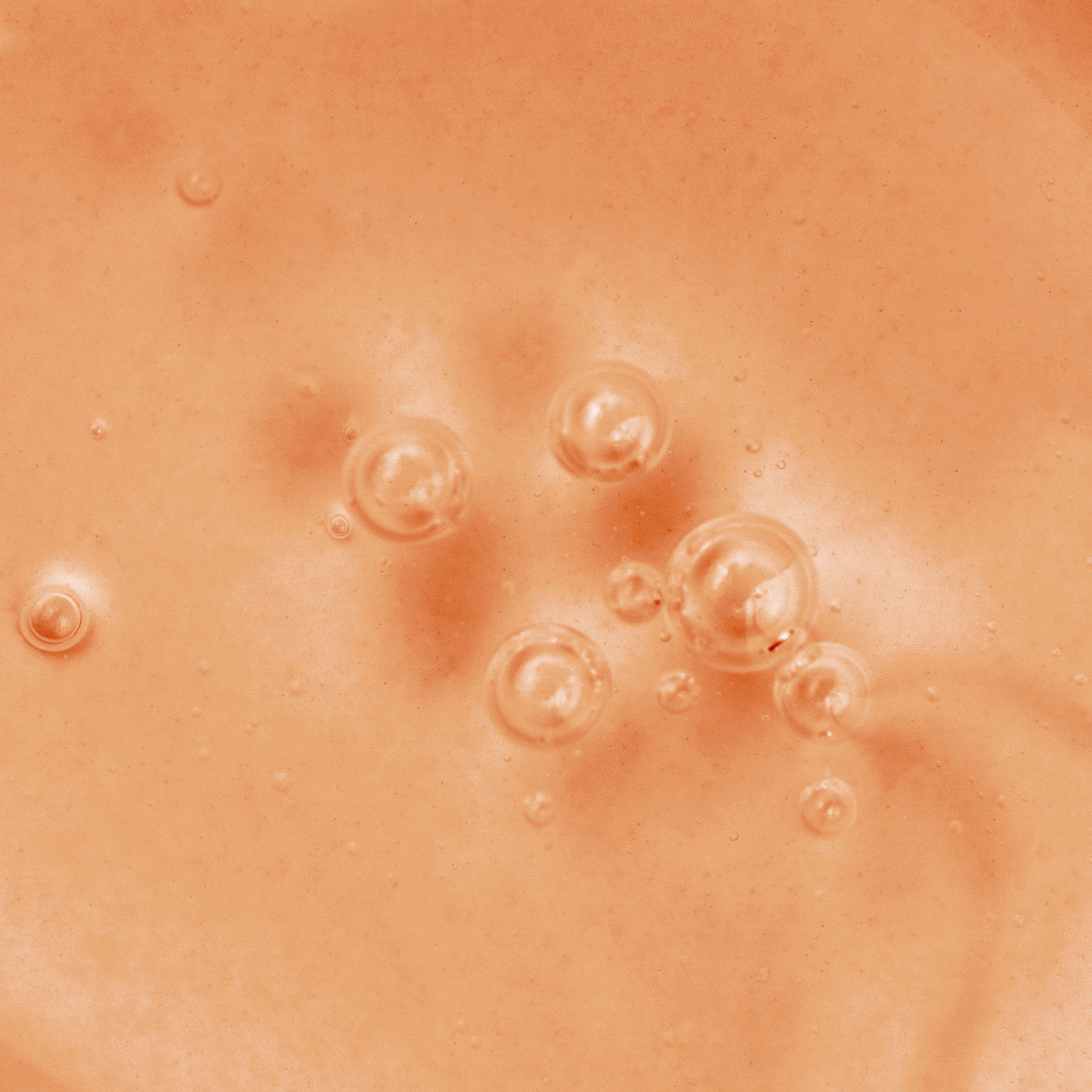 Lecithin Nourishing Shampoo - Image 3